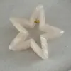 Nuevo pasador de pelo minimalista de cinco puntas, un accesorio para el cabello elegante y con estilo para mujer, perfecto para crear un recogido chic en la parte posterior de la cabeza.