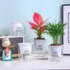 Fábrica de Origen Absorción Automática de Agua Transparente Maceta Perezosa Creativa Redonda Oficina Escritorio Planta Verde Hidropónico Plástico Maceta para Flores