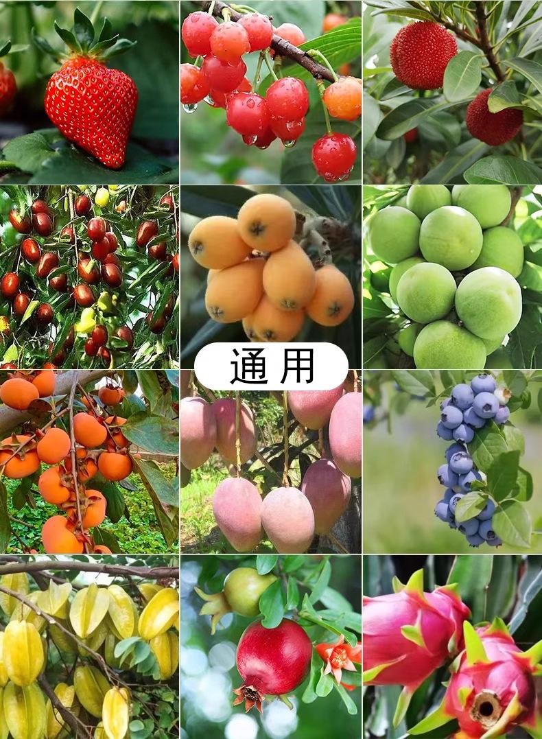 详情9.jpg