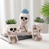 Transfronteiriço Novo Crânio de Halloween Verde Carnudo Vaso de Flores para Plantio Decoração de Jardim Decoração Criativa de Resina Decoração