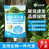 Solução Nutritiva para Árvores Grandes, Solução em Bolsa de Gotejamento para Transplante de Árvores, Solução de Gotejamento para Mudas de Árvores no Atacado, Hidratação de Árvores, Fortalecimento de Raízes e Revitalização de Árvores Frutíferas