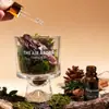 Kit de Presente Aromaterapia Pinheiro e Musgo - Presente de Aromaterapia Sem Chama, Decoração Difusora de Aroma, Lembrança de Aromaterapia para Casa