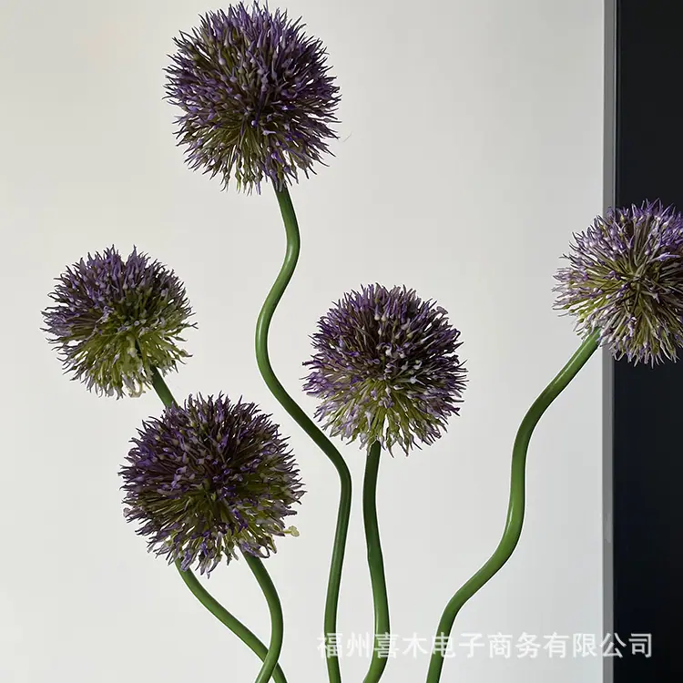 photo-output_2 3.JPG