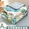 Estilo Nuevo Algodón Lavado Algodón de Xinjiang Colcha de Verano Colcha de Verano Estampada Dormitorio de Estudiantes Colcha para Aire Acondicionado Lavable a Máquina Colcha Delgada de Verano