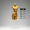 Expositor de Roupas Íntimas Calcinhas Sutiã com Bojo Modelo Display Rack Loja de Roupas Femininas Dourado Corpo Meia Janela Props de Vitrine