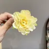 Dulce Diadema de Margarita Mori Vacaciones Pastorales Guirnalda Rosa Tejida Foto de Vestido de Novia Accesorios Elegantes para el Cabello