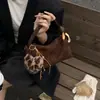 Bolsa de almofada vintage transfronteiriça para outono e inverno para mulheres, novo modelo 2026, bolsa de mão de design de nicho de alta qualidade, bolsa de ombro e transversal