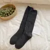 Meias de cano alto brancas como leite com detalhes de orelha de madeira para mulheres, meias compridas para primavera e outono, meias folgadas, renda vazada, sem costura, meias JK altas