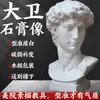 Estátua de Gesso de Davi Estátua de Gesso Ornamentos Arte Ensinamento Consciente Vênus Xiaowei Pirata Decorações Europeias e Americanas Escultura Ornamentos