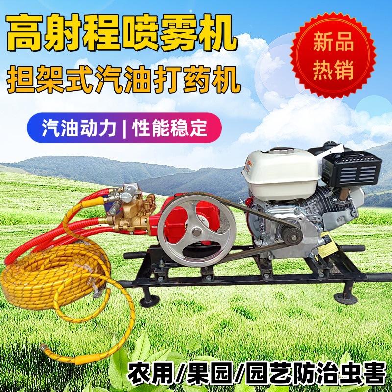 微信图片_202410121115062_副本