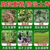 Cal Virgem para Jardinagem, Cultivo de Flores e Vegetais, Desinfecção, Esterilização, Cal em Pó, Melhoria do Solo, Cal Virgem em Pó
