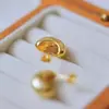 Novos Brincos de Design de Ponta Transfronteiriços em Forma Natural de Gota, Brincos Simples de Aço Titânio Modernos e Versáteis