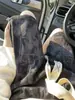 Shorts Casuales de Calle Americanos para Hombre Verano Delgados Rectos Sueltos Pantalones Marca de Moda Atractivos Pantalones Deportivos Estudiantes