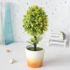 Casa pastoral simulación planta bonsái conjunto sala de estar interior decoraciones plantas verdes adornos simulación bonsái