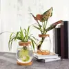 Florero de Vidrio Transparente Hidropónico Contenedor para Plantas Verdes Oficina Arreglo Floral Decoración de Escritorio Manualidades Suministro Transfronterizo