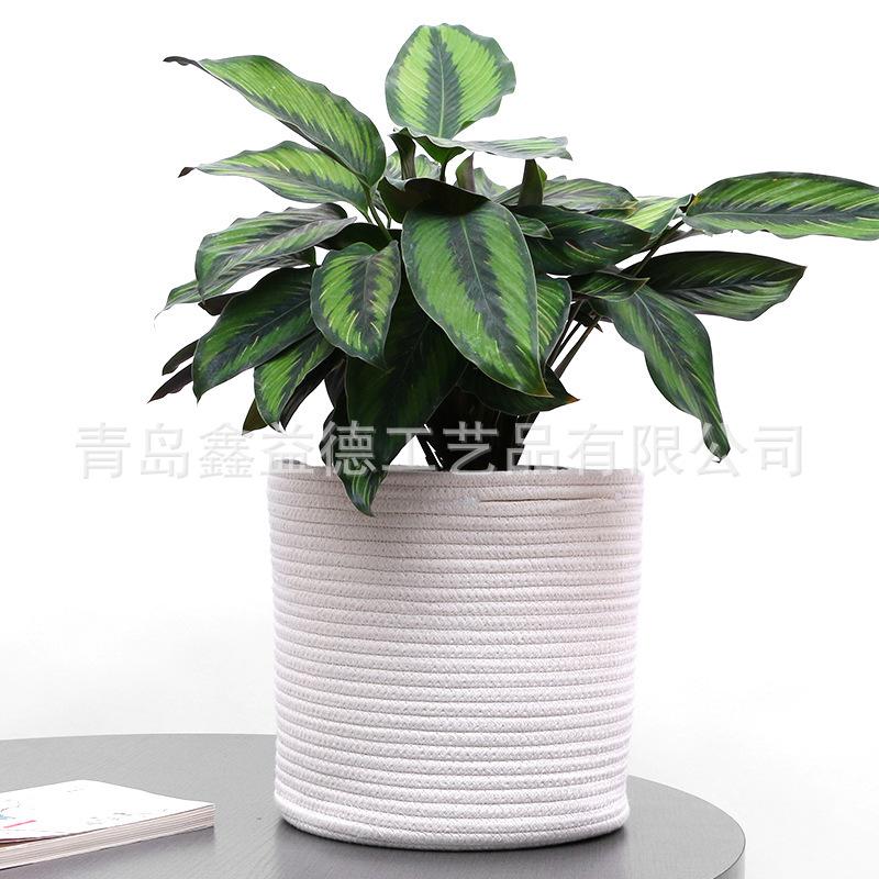 植物棉线筐 (2)