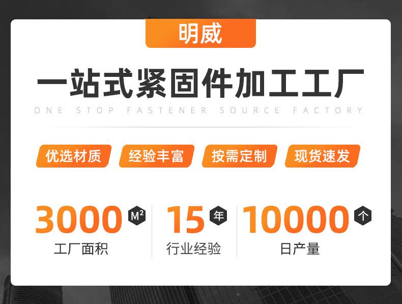 201不锈钢沉头十字详情_01.jpg