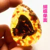 Colgante de Ámbar con Espécimen de Insecto Real Ámbar Insecto Gota de Agua con Forma de Insecto Escorpión Mariposa Abeja Flor Ámbar Transmisión en Vivo Venta al por Mayor