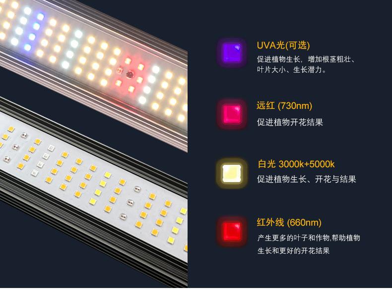 min720w-博亚1_11.jpg