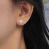Brincos de Flor Flor Inlaid Zircônia Cao Shi Moda Feminina Exquisitos Brincos Pastorais Uso Diário Brincos Populares