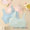 Roupa íntima feminina sem costura em estoque, Roupa íntima para meninas pequenas, Colete anti-impacto para o período de desenvolvimento de alunas do ensino fundamental, Confortável