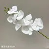 Orquídea Phalaenopsis Artificial com 7 Flores, Decoração de Parede Pendente em Borracha Macia, Orquídea Decorativa Impressa em 3D de Alta Qualidade para Decorações de Casamento