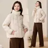 Jaqueta Puffer Feminina Curta Solta Casaco Gola Alta Roupa de Fora