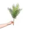 Venta al por mayor de plantas verdes ornamentales para paredes, incluyendo helechos, clemátides, helechos silvestres de montaña, bambú negro, tuya, helechos de espárrago y helechos extranjeros