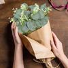 Galhos Artificiais de Folha de Eucalipto para Decorações de Casamento e Feriados, Plantas Artificiais para Decoração de Casa