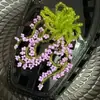 Acessórios de Flor de Sapato de Cristal Resistentes Estilo Coreano com Lantejoulas Bordadas, Franjas de Cristal Exquisite de Estilo Leve de Luxo