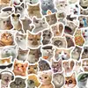 57 Adesivos de Expressões de Gato Celebridade da Internet, Decoração Fofa, Copo de Água Transfronteiriço, Adesivos DIY para Computador e Celular, À Prova d'Água