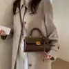 Bolso Cuadrado Pequeño de Mano de Nicho Simple 2025 Otoño e Invierno Nuevo Estilo Coreano Bolso de Hombro Casual de Moda Bolso Cruzado de Gama Alta