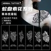 Adesivos de Tatuagem de Suco Herbal Flor e Cobra Simples, À Prova d'Água e Suor, Alta Qualidade, para Homens e Mulheres, para Braços, Clavículas e Lateral da Cintura, Não Refletivos