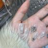 Arte de Uñas Decoración Navideña Aleación Joyería para Uñas Lazo Nueva Decoración de Diamantes de Aleación Accesorios de Perlas Estereoscópicas Joyería