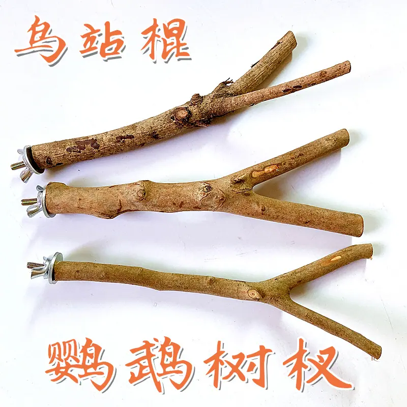 树杈主图.jpg