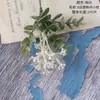 Eucalipto Fruta y Flor Arreglo Floral Artificial Fabricante Decoración del Hogar Ramo de Boda Pared Flores Falsas Ins Transfronterizo