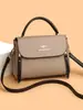 Bolso Transfronterizo para Mujer Nuevo Simple Moda Bolso de Hombro Cruzado Gran Capacidad Tacto de Alta Gama Bolso de Mano para Madres de Mujeres de Mediana Edad