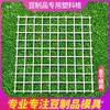 Grelhas Plásticas para Tofu Seco, Grelhas Plásticas para Produtos de Feijão, Placas Plásticas para Tofu Seco, Formas para Tofu