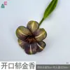 Aberto Tulipa Marrom Brownie Pu Tulipa Alta Qualidade Monet Decoração de Casa Decoração de Fotos de Casamento Transfronteiriço