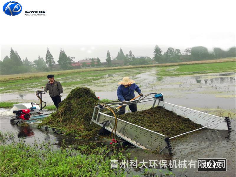 d710a596b73fe36d5b2c9e236c2f88