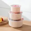 Juego Popular de Tres Piezas de Recipientes para Conservar Alimentos Frescos Transfronterizos Caja de Almacenamiento Sellada para Conservar Alimentos Frescos para el Hogar Fiambrera Caja de Almacenamiento para Frigorífico