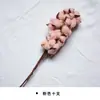 Materiais para Artesanato DIY de Flores Eternas no Atacado, Flores Secas, Frutas Secas, Rodelas de Laranja, Pinhas, Adereços para Fotografia de Flores, Materiais para Artesanato DIY de Jardim de Infância