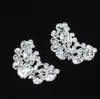 Un par de zapatos de boda para novia, accesorios, zapatos, flor, hebilla para zapatos, venta al por mayor directa de fábrica transfronteriza