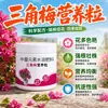 Fertilizante Especial para Bugambilia Flor de Ciruelo Granulado de Liberación Lenta Orgánico Plántula Fuerte Anti-Compactación Promueve la Floración Plantas en Maceta Huerto