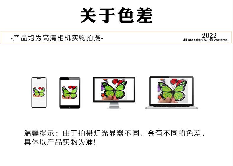 闪光蝴蝶详情_08.jpg