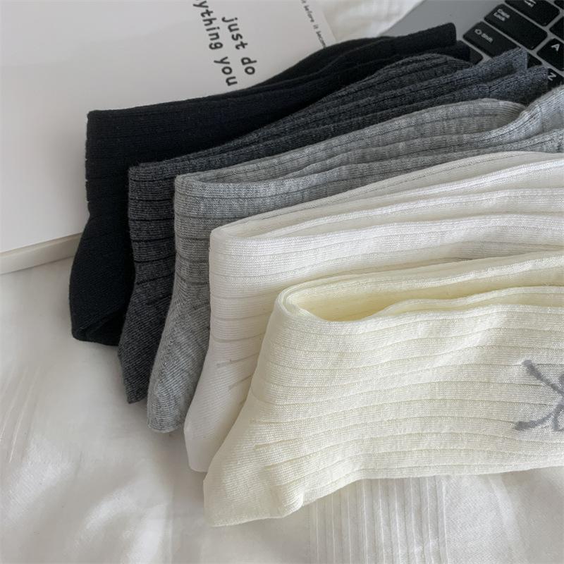 2024-04-16 174644.jpg