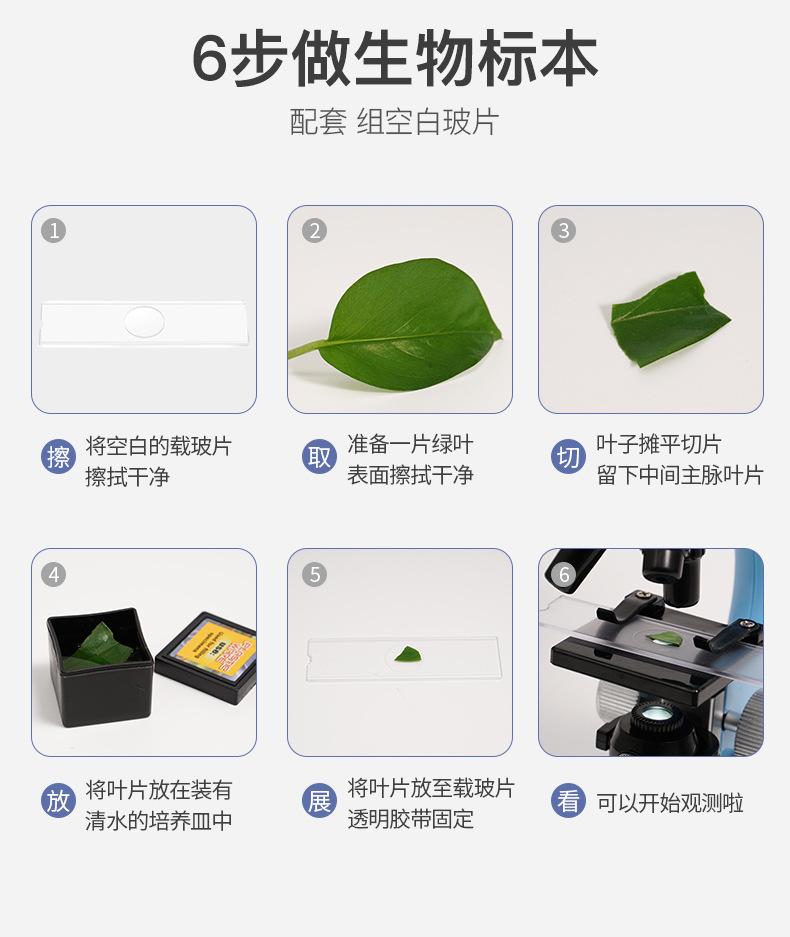 显微镜详情-绿紫_22_02.jpg