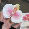 Pinza lateral de flor de orquídea mariposa nueva de principios de primavera, sentido de atmósfera femenina, película fotográfica, pinza para flequillo, tocado de vacaciones junto al mar