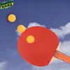 Raqueta de Tenis de Mesa, un Juego de Raquetas de Tenis de Mesa para Principiantes, Raqueta Recta, Raqueta Terminada, Niños, Estudiantes de Primaria, Adultos, Raqueta Horizontal