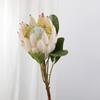Flor Artificial Tienda en Casa Decoración Accesorios para Ropa Fotografía de Bodas Terciopelo Medio y Alto Grado Flor Artificial Flor Imperial Sudafricana
